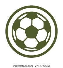 圣地亚哥教士队宣布将扩建球场外的草地看台以容纳更多低票价球迷